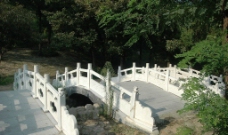 莲青玉桥图片