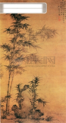 白牡丹植物喜鹊白鹤牡丹花中国风中华艺术绘画