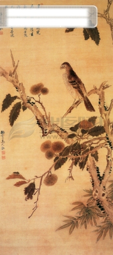 白牡丹动物植物喜鹊白鹤牡丹花中国风中华艺术绘画