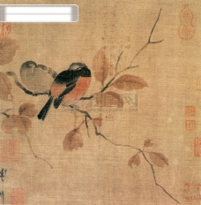 白牡丹动物植物喜鹊白鹤牡丹花中国风中华艺术绘画