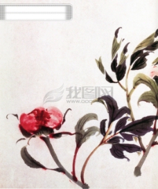 国画牡丹植物喜鹊白鹤牡丹花中国风中华艺术绘画