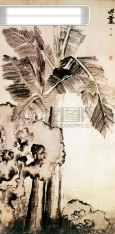 白牡丹牡丹花竹子丹顶鹤白鹤梅花树枝柳絮飘絮杂草树干植物中国风中华艺术绘画