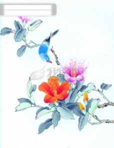 国画牡丹中国风花喜鹊牡丹桃花芍药小鸟中华艺术绘画