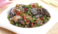 餐饮青椒焖沙鳖图片