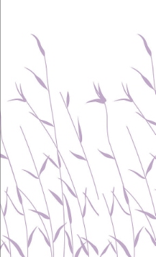 移门图片  紫芦苇