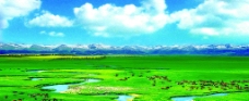 景观设计新疆大草原雪山蓝天白云牛羊图片