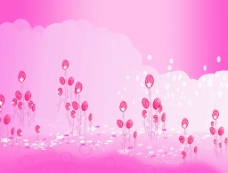 粉红 圆花  云 星光图片