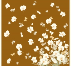 白色花白色的花和蝴蝶图片