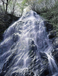 山溪瀑布秀丽山水瀑布美景山涧溪流图片
