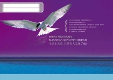 海鸥 海 画册设计 版式设计 画册封面 企业画册设计