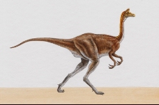 白垩纪恐龙0095