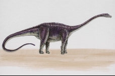 白垩纪恐龙0052
