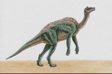 白垩纪恐龙0091