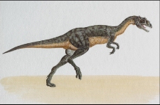 白垩纪恐龙0016