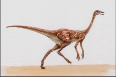 白垩纪恐龙0008
