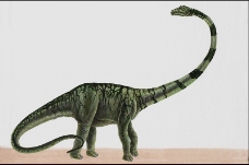 白垩纪恐龙0010