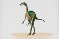 白垩纪恐龙0070