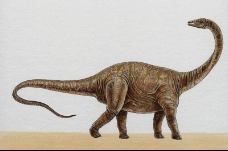 白垩纪恐龙0025