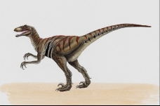 白垩纪恐龙0001