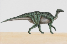 白垩纪恐龙0088