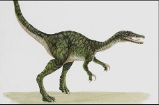白垩纪恐龙0020