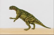白垩纪恐龙0007