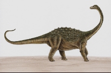 白垩纪恐龙0053