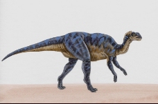 白垩纪恐龙0069