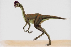 白垩纪恐龙0068