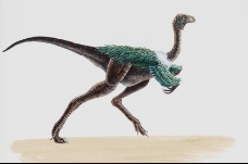 白垩纪恐龙0054