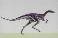 白垩纪恐龙0026