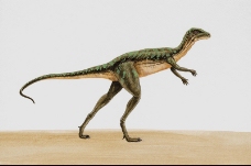 白垩纪恐龙0064