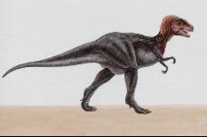 白垩纪恐龙0093