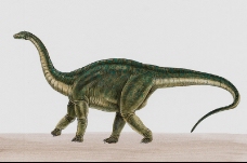 白垩纪恐龙0037