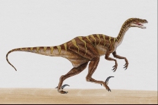 白垩纪恐龙0002