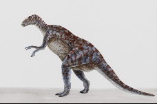 白垩纪恐龙0049