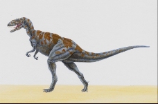 白垩纪恐龙0099