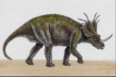 白垩纪恐龙0009