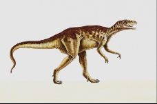 白垩纪恐龙0028