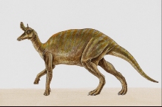 白垩纪恐龙0048
