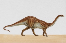 白垩纪恐龙0080