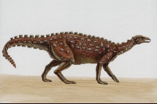 白垩纪恐龙0086