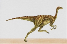 白垩纪恐龙0036