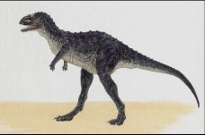白垩纪恐龙0015