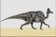 白垩纪恐龙0006