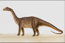 白垩纪恐龙0019