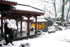 永福寺雪景图片