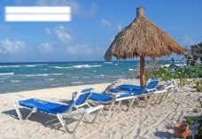 沙滩大海遮阳伞椅子图片