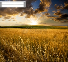 创意风景精品图片实用图片精美图片印刷适用高清图片创意图片风景自然风光小麦日落黄昏农田云朵