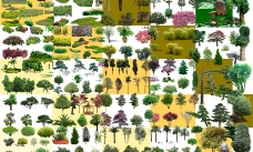 绿化景观素材(树)图片